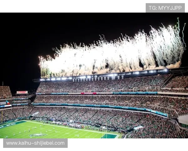 2026年世界杯决赛地点公布时间及各候选城市详细介绍