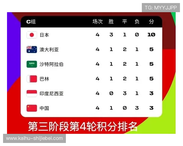 2026年世界杯南美洲区预选赛积分榜排名全景解读，谁是晋级热门球队