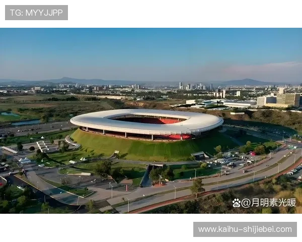 2026年世界杯比赛场馆交通配套设施建设及优化方案全解